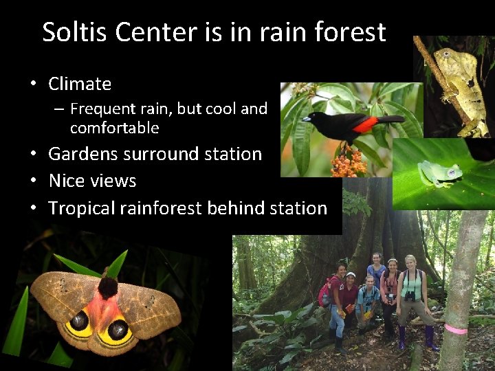 Soltis Center is in rain forest • Climate – Frequent rain, but cool and