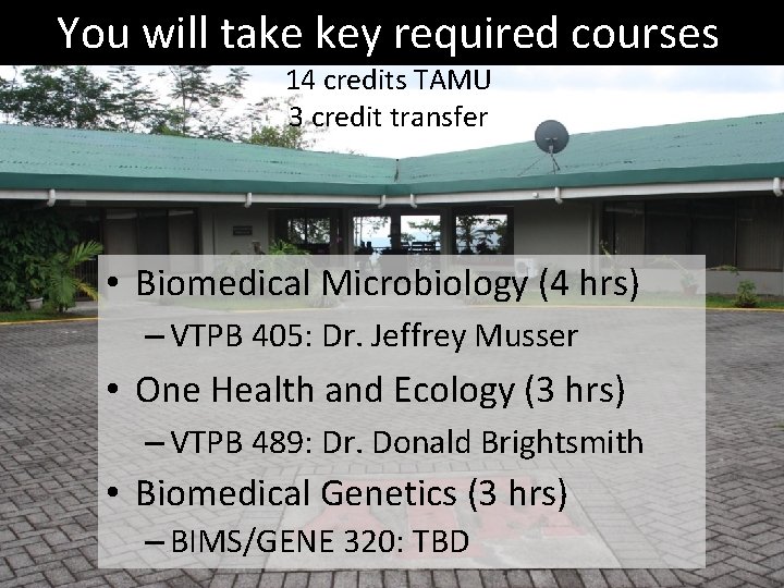 You will take key required courses 14 credits TAMU 3 credit transfer • Biomedical