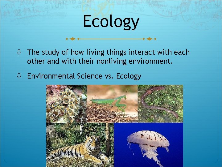 Ch 1 Science and the Environment Bellringer Objectives