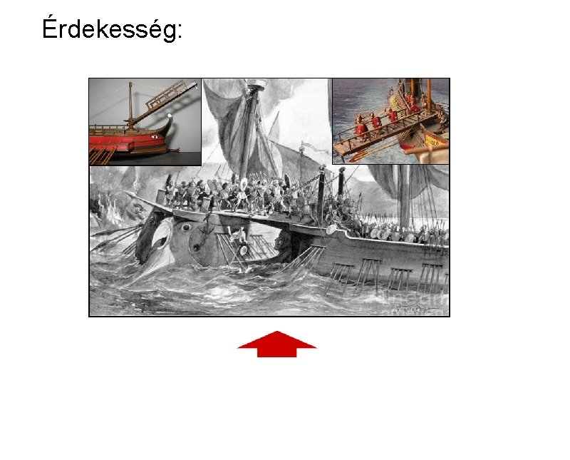 Érdekesség: 