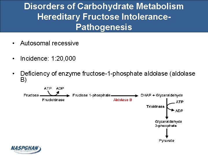 Disorders of Carbohydrate Metabolism Hereditary Fructose Intolerance. Pathogenesis • Autosomal recessive • Incidence: 1:
