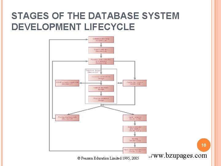 STAGES OF THE DATABASE SYSTEM DEVELOPMENT LIFECYCLE 10 © Pearson Education Limited 1995, 2005