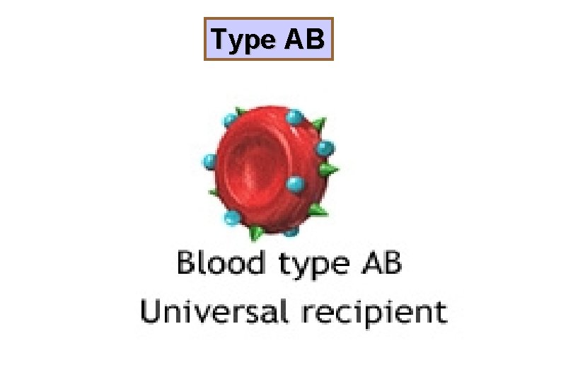 Type AB 