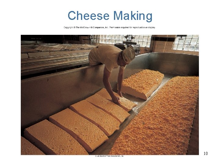 Cheese Making 10 