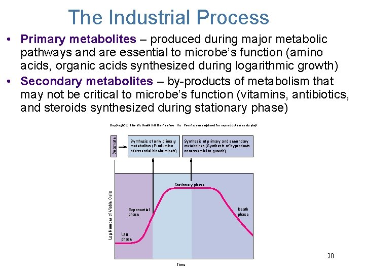 The Industrial Process • Primary metabolites – produced during major metabolic pathways and are