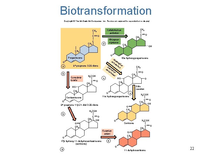 Biotransformation Copyright © The Mc. Graw-Hill Companies, Inc. Permission required for reproduction or display.