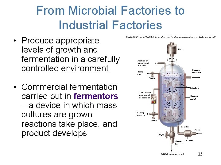 From Microbial Factories to Industrial Factories • Produce appropriate levels of growth and fermentation