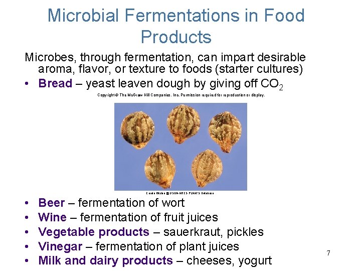 Microbial Fermentations in Food Products Microbes, through fermentation, can impart desirable aroma, flavor, or