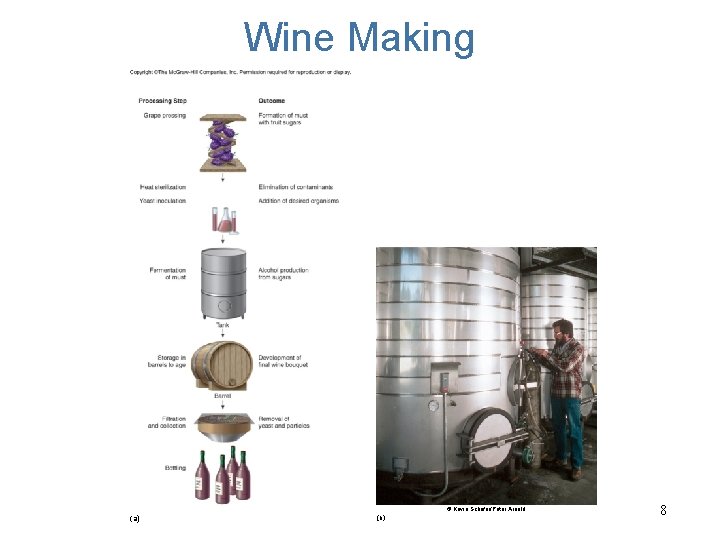 Wine Making © Kevin Schafer/Peter Arnold (a) (b) 8 