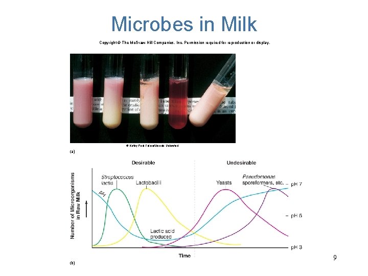 Microbes in Milk Copyright © The Mc. Graw-Hill Companies, Inc. Permission required for reproduction