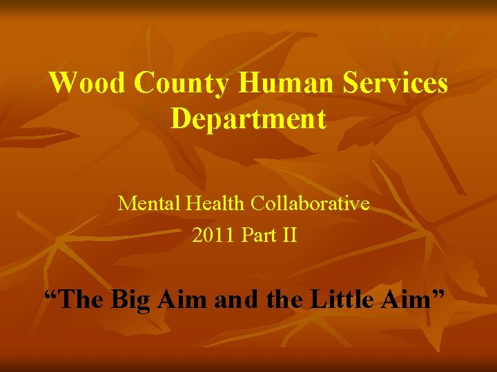 Wood County Human Services Department Mental Health Collaborative 2011 Part II “The Big Aim