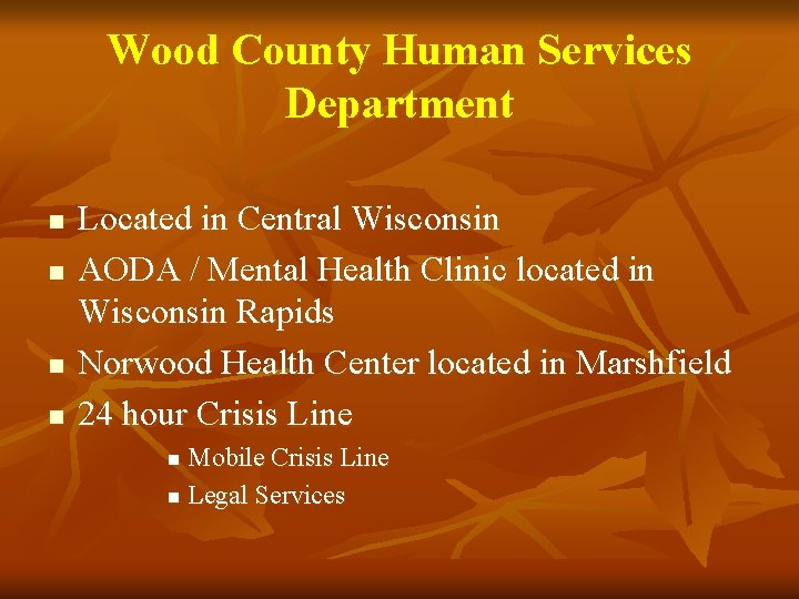 Wood County Human Services Department n n Located in Central Wisconsin AODA / Mental