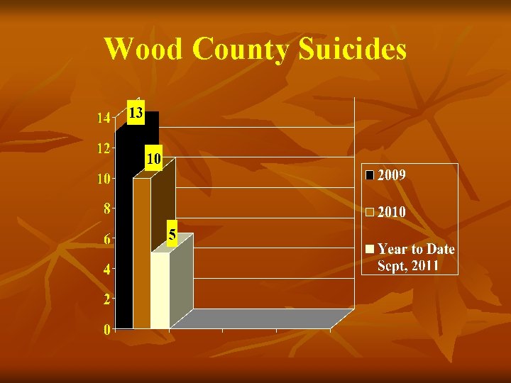 Wood County Suicides 