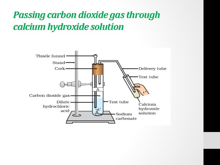 Passing carbon dioxide gas through calcium hydroxide solution 
