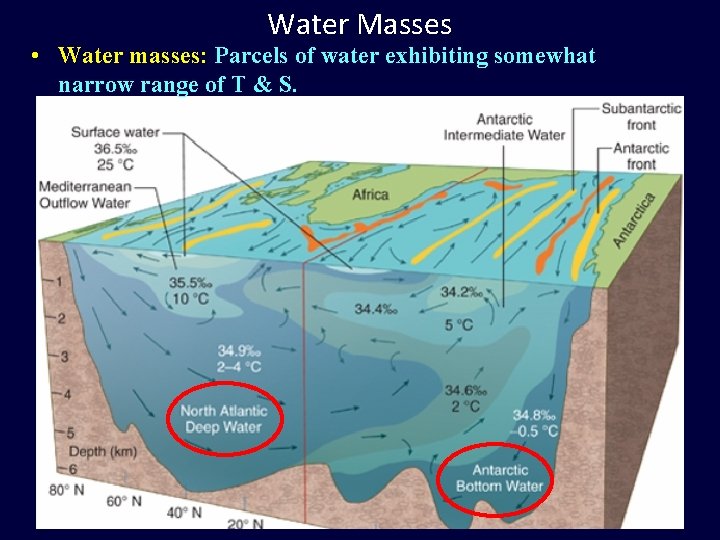 Water Masses • Water masses: Parcels of water exhibiting somewhat narrow range of T