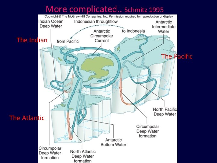 More complicated. . Schmitz 1995 The Indian The Pacific The Atlantic 