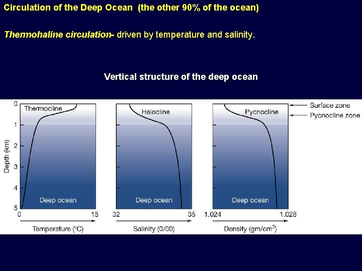 Circulation of the Deep Ocean (the other 90% of the ocean) Thermohaline circulation- driven