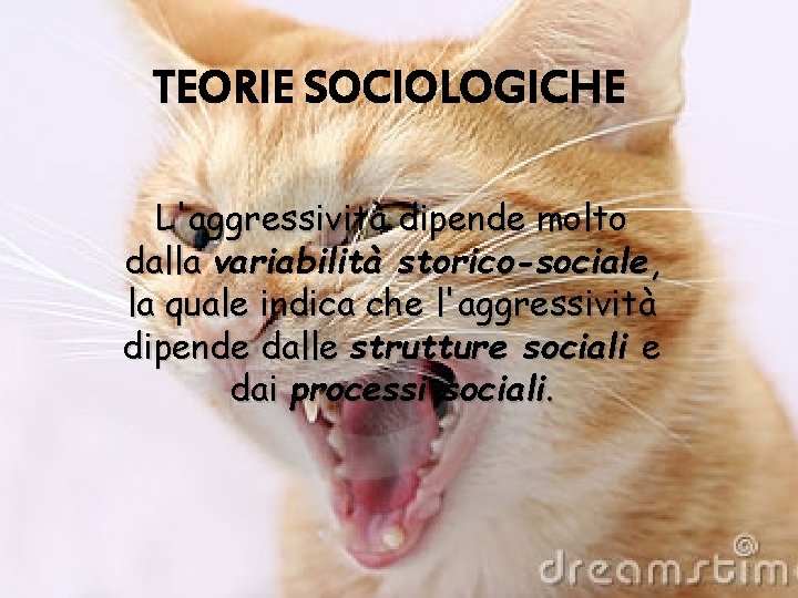 TEORIE SOCIOLOGICHE L'aggressività dipende molto dalla variabilità storico-sociale, la quale indica che l'aggressività dipende