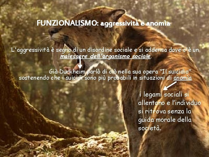 FUNZIONALISMO: aggressività e anomìa L'aggressività è segno di un disordine sociale e si addensa