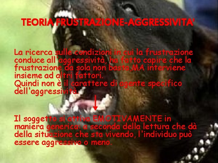 TEORIA FRUSTRAZIONE-AGGRESSIVITA' La ricerca sulle condizioni in cui la frustrazione conduce all'aggressività, ha fatto