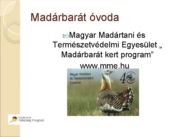 Madárbarát óvoda Magyar Madártani és Természetvédelmi Egyesület „ Madárbarát kert program” www. mme. hu