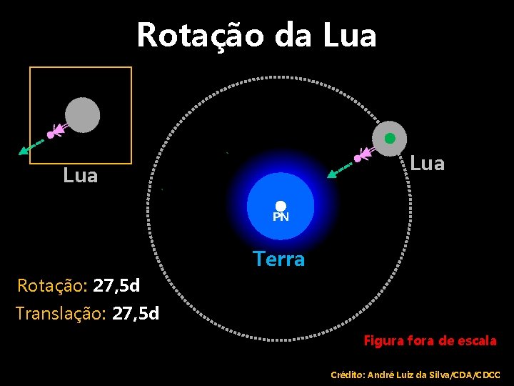 Rotação da Lua Lua PN Terra Rotação: 27, 5 d Translação: 27, 5 d