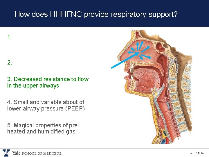 How does HHHFNC provide respiratory support? 1. 2. 3. Decreased resistance to flow in