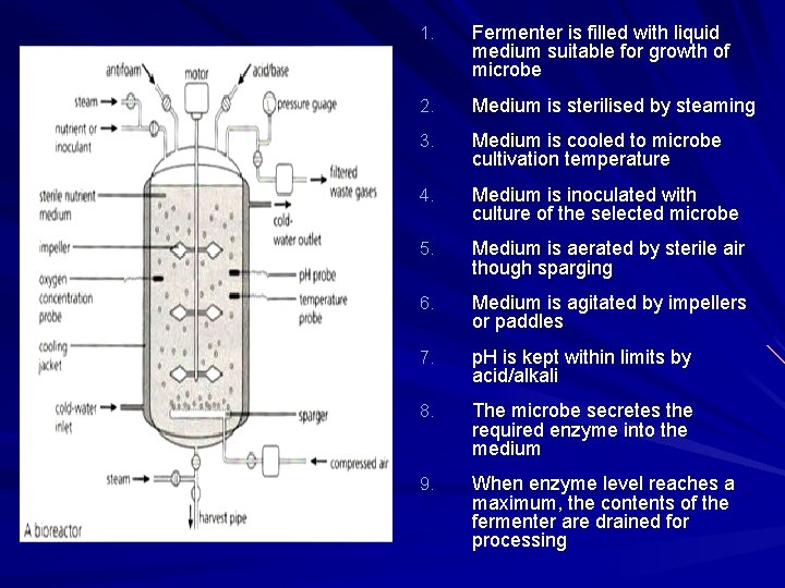 1. Fermenter is filled with liquid medium suitable for growth of microbe 2. Medium