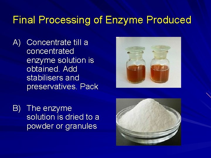 Final Processing of Enzyme Produced A) Concentrate till a concentrated enzyme solution is obtained.