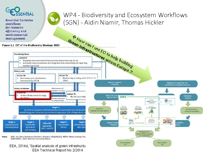 WP 4 - Biodiversity and Ecosystem Workflows (SGN) - Aidin Niamir, Thomas Hickler v.