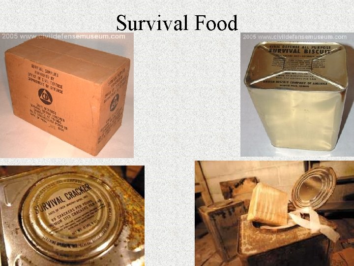 Survival Food 