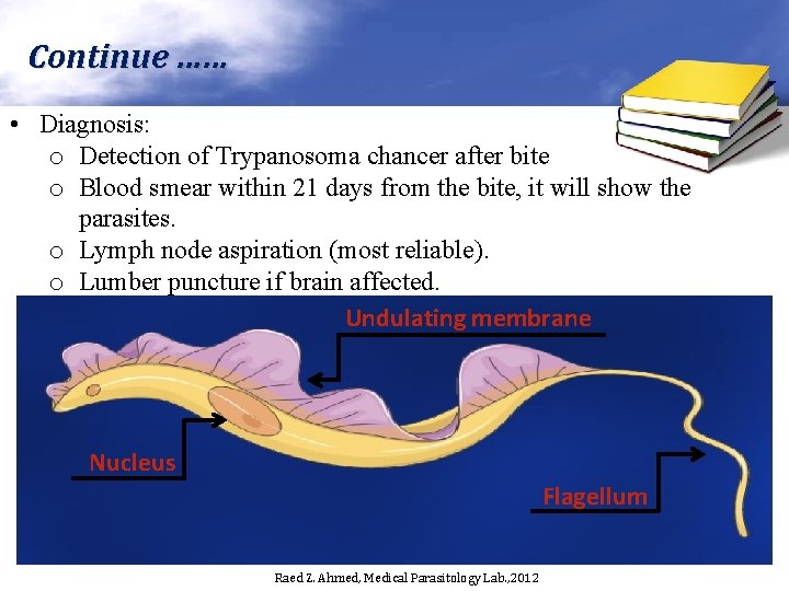Continue …… • Diagnosis: o Detection of Trypanosoma chancer after bite o Blood smear