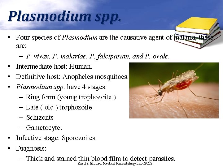 Plasmodium spp. • Four species of Plasmodium are the causative agent of malaria, these