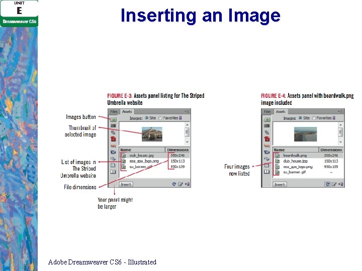 Inserting an Image Adobe Dreamweaver CS 6 - Illustrated 