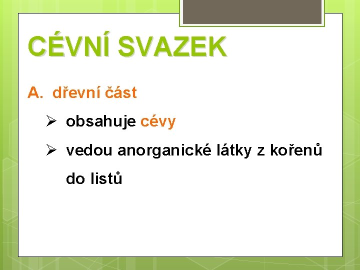 CÉVNÍ SVAZEK A. dřevní část Ø obsahuje cévy Ø vedou anorganické látky z kořenů