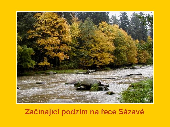 Začínající podzim na řece Sázavě 
