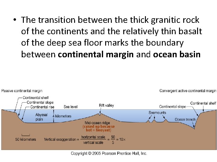  • The transition between the thick granitic rock of the continents and the