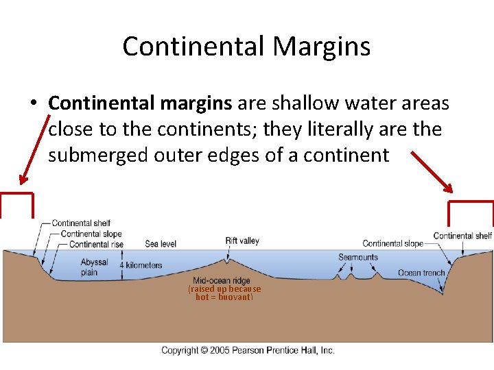 Continental Margins • Continental margins are shallow water areas close to the continents; they