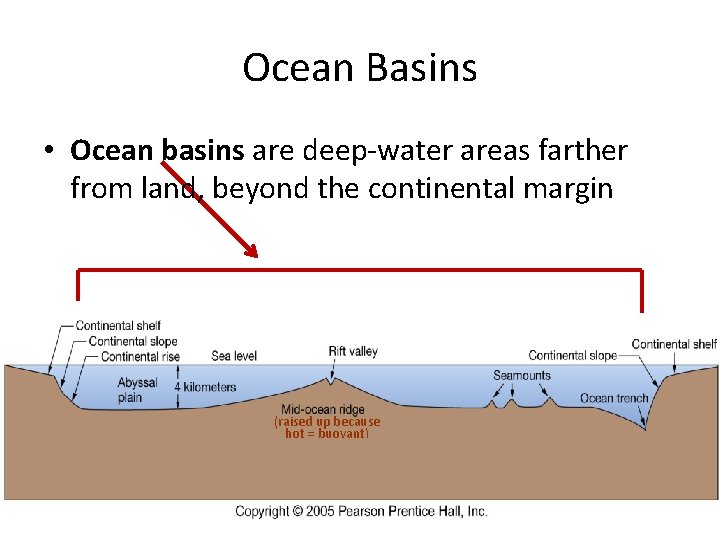 Ocean Basins • Ocean basins are deep-water areas farther from land, beyond the continental