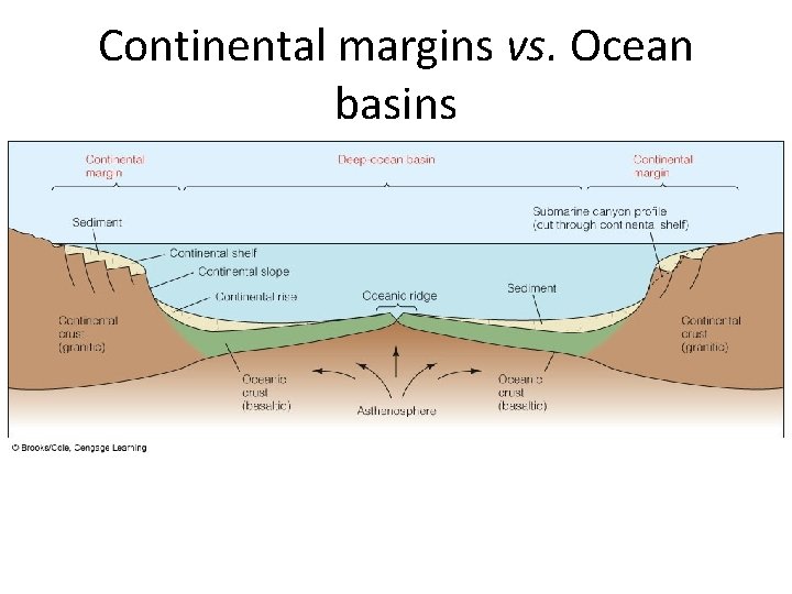 Continental margins vs. Ocean basins 