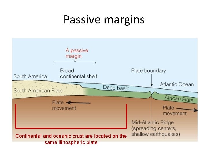 Passive margins Continental and oceanic crust are located on the same lithospheric plate 