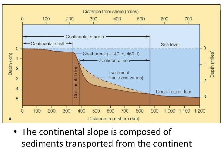  • The continental slope is composed of sediments transported from the continent 