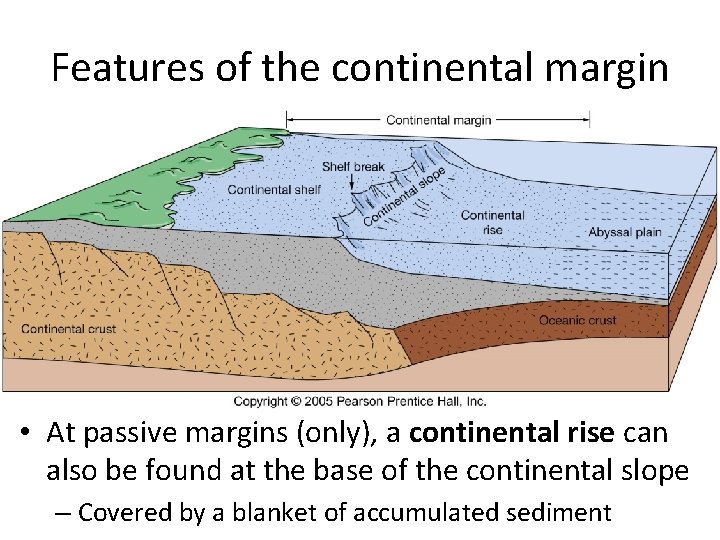 Features of the continental margin • At passive margins (only), a continental rise can