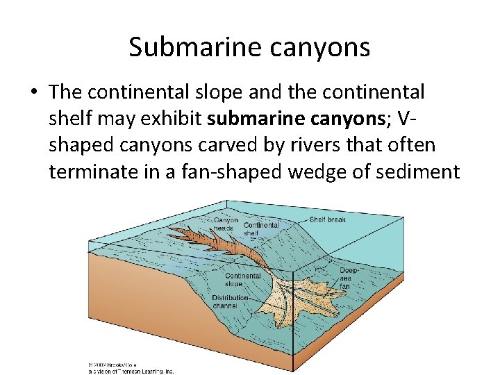 Submarine canyons • The continental slope and the continental shelf may exhibit submarine canyons;