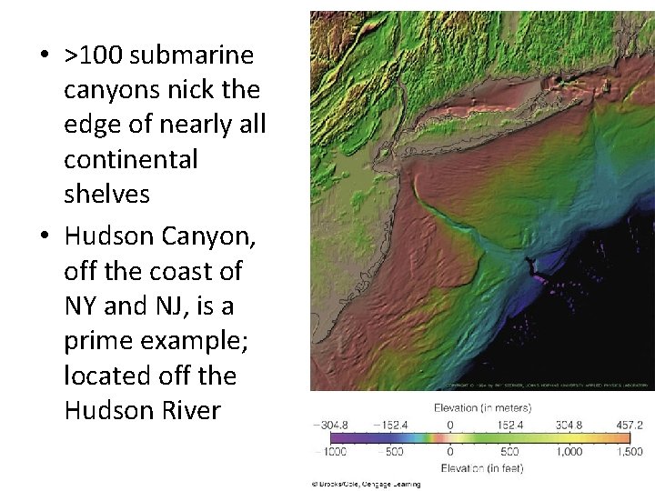  • >100 submarine canyons nick the edge of nearly all continental shelves •