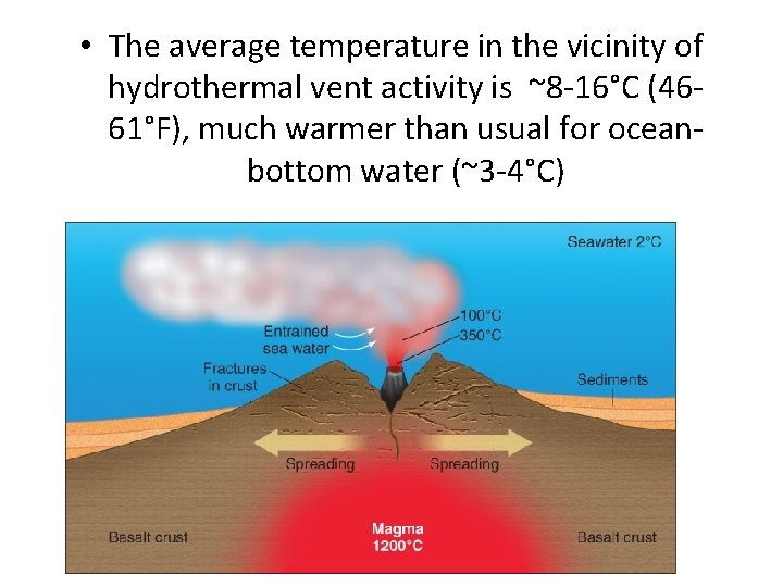  • The average temperature in the vicinity of hydrothermal vent activity is ~8