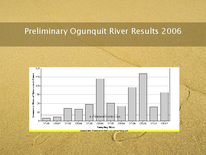 Preliminary Ogunquit River Results 2006 