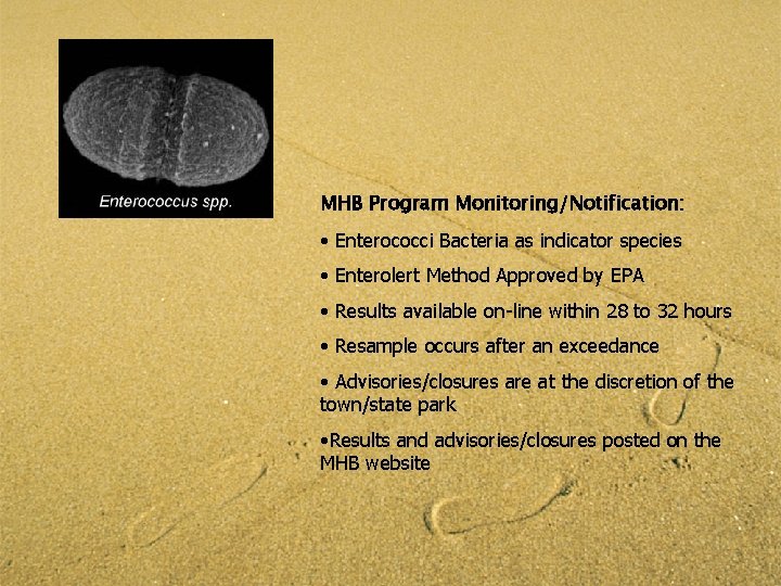 MHB Program Monitoring/Notification: • Enterococci Bacteria as indicator species • Enterolert Method Approved by