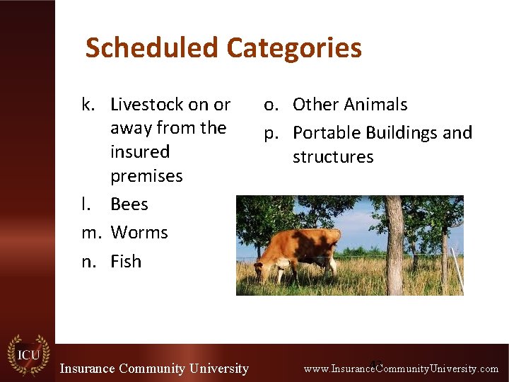 Scheduled Categories k. Livestock on or away from the insured premises l. Bees m.