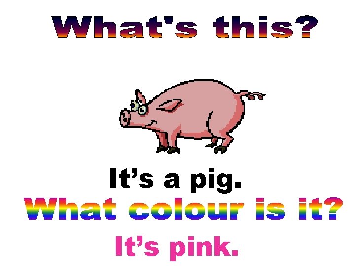 It’s a pig. It’s pink. 